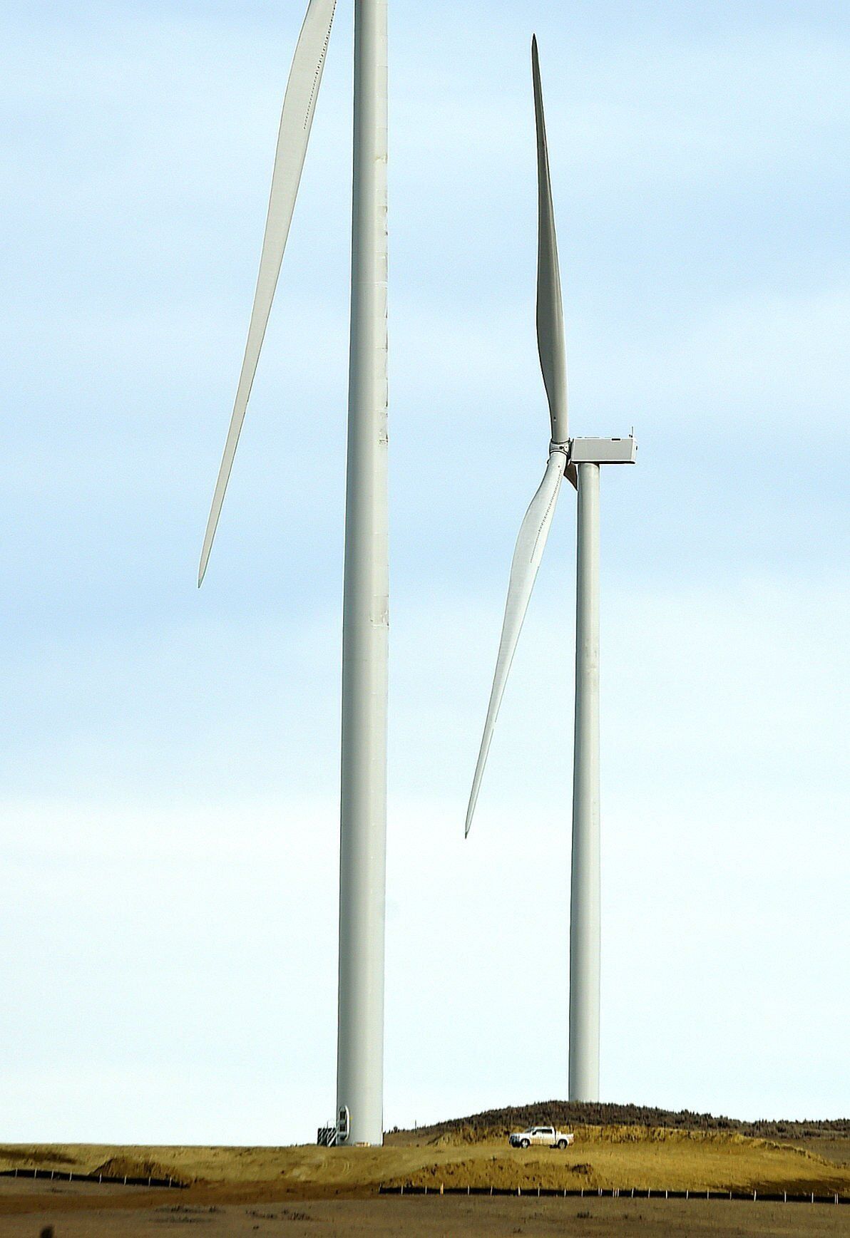 Wind farm